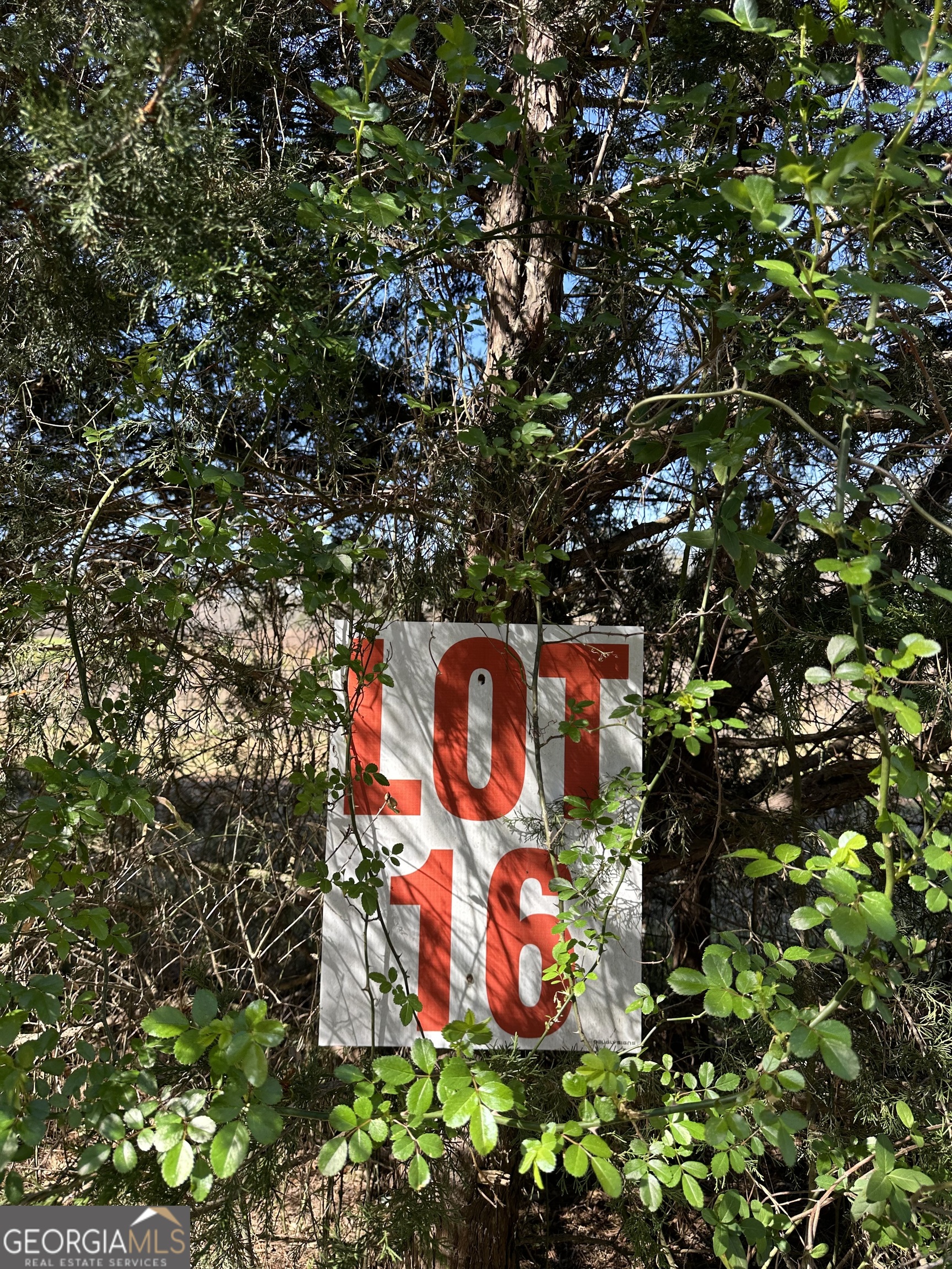 139 Oak Road, Unit LOT 16 Locust Grove, GA 30248 - Photo 1 of 2