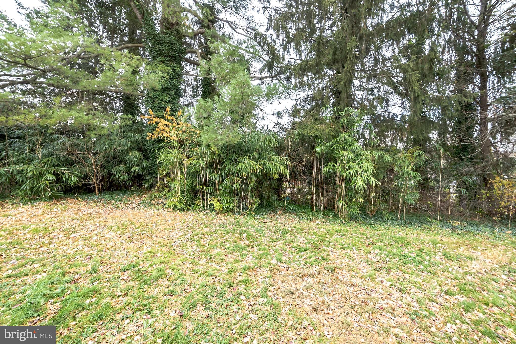115 Beech Road Wallingford, PA 19086 - Photo 29 of 30 Private Back Yard