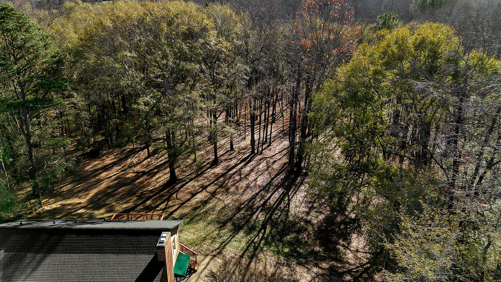 2019 Quail Ridge Road Anderson, SC 29625 - Photo 6 of 38