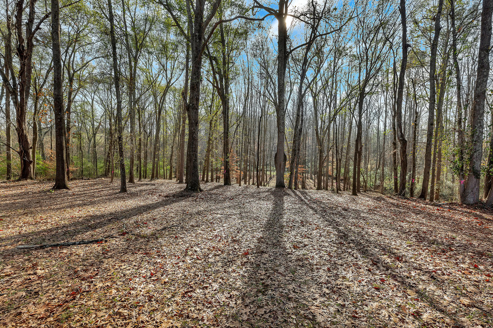 2019 Quail Ridge Road Anderson, SC 29625 - Photo 9 of 38
