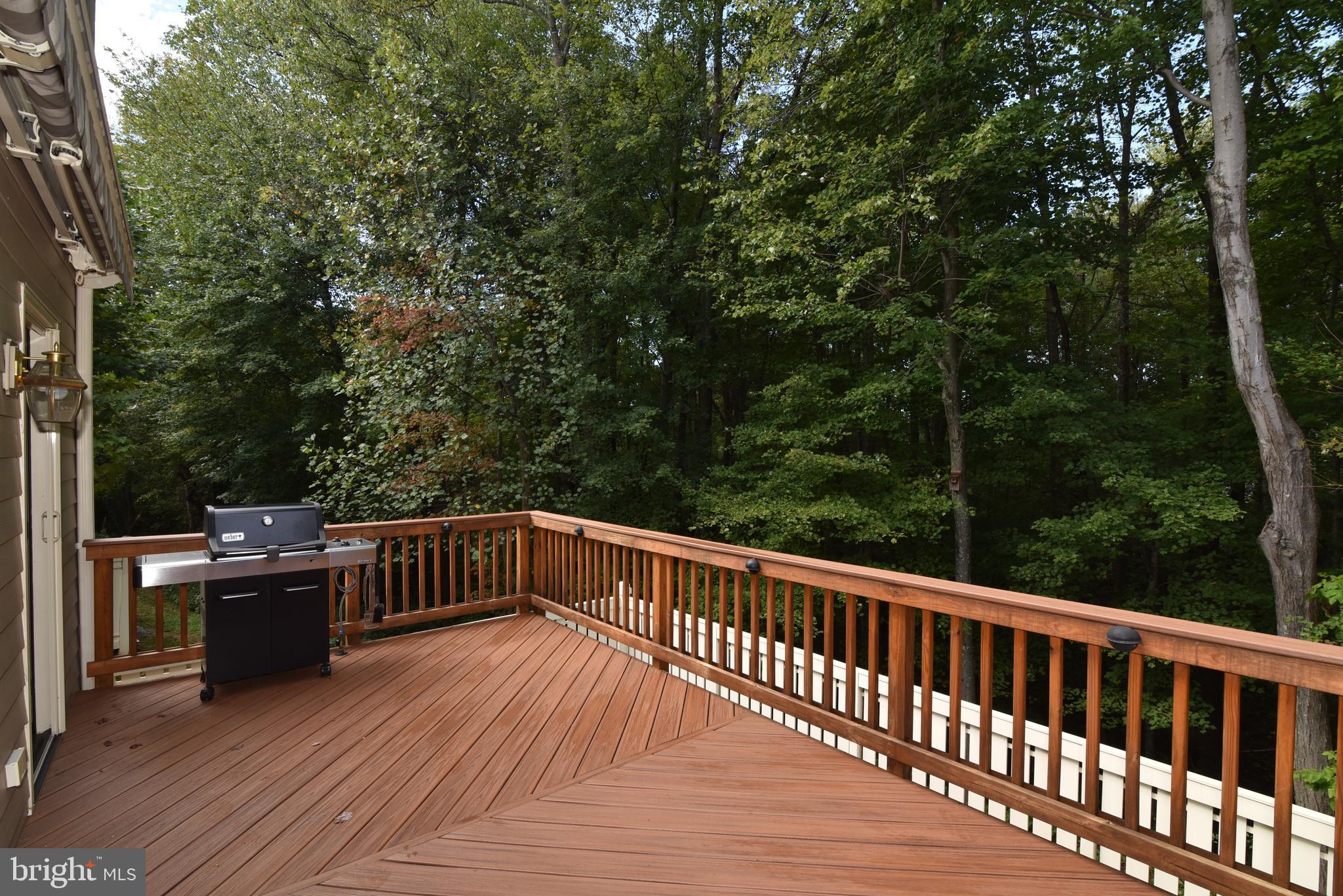 1537 Autumn Ridge Circle Reston, VA 20194 - Photo 32 of 43 Deck with Natural Gas Fireplace
