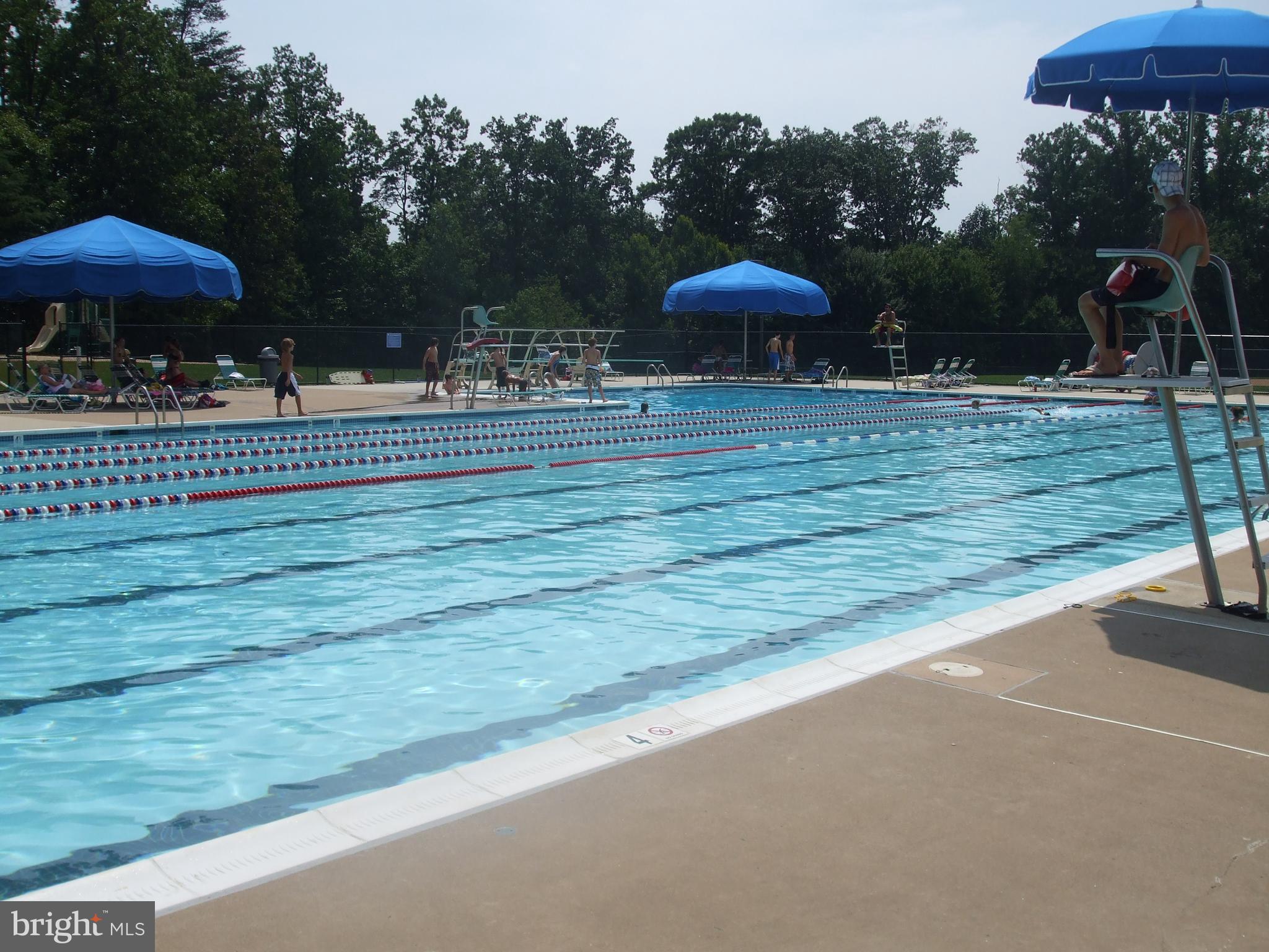 1537 Autumn Ridge Circle Reston, VA 20194 - Photo 41 of 43 Community Pool - Close By