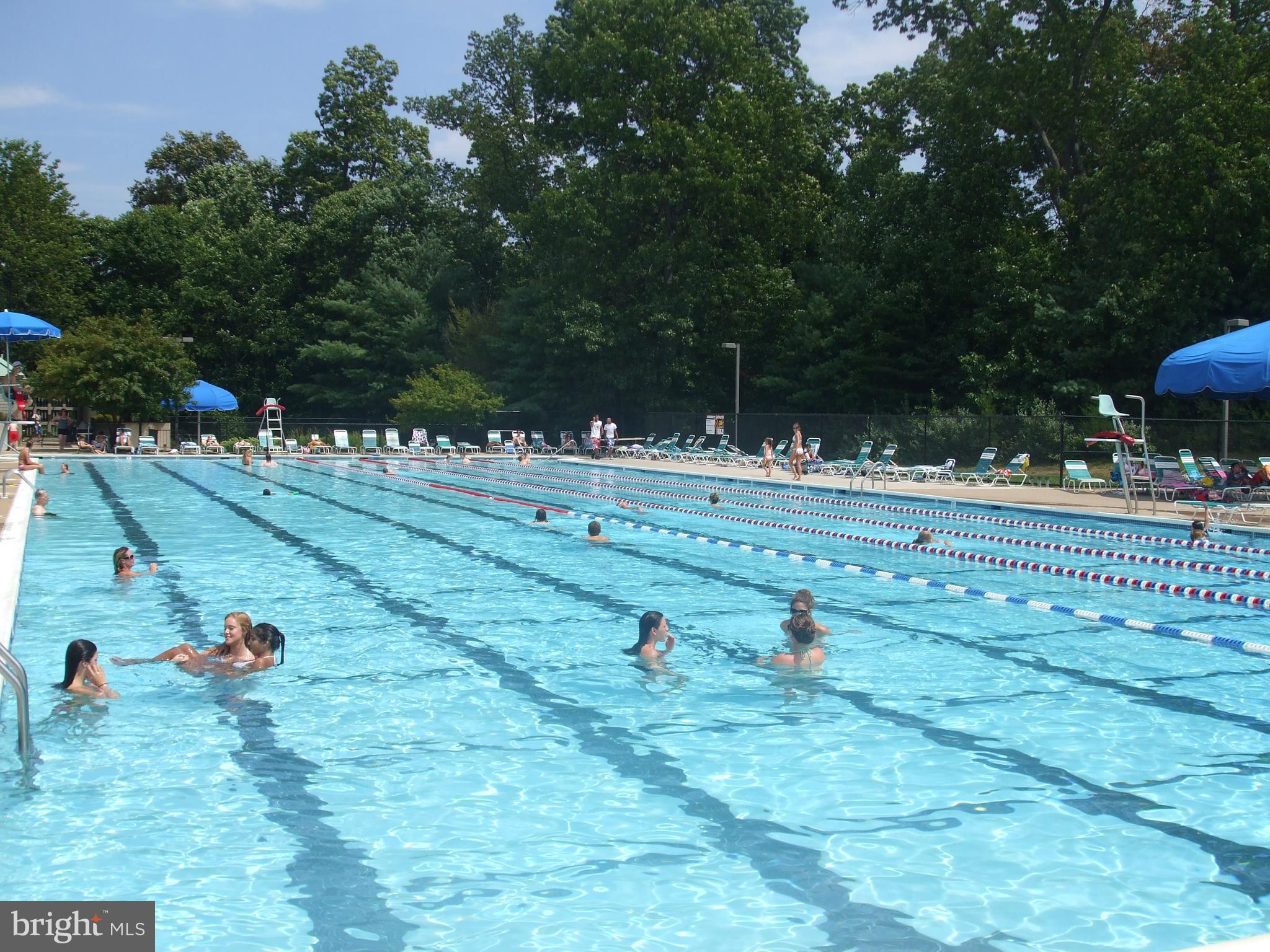 1537 Autumn Ridge Circle Reston, VA 20194 - Photo 42 of 43 Community Pool - Close By