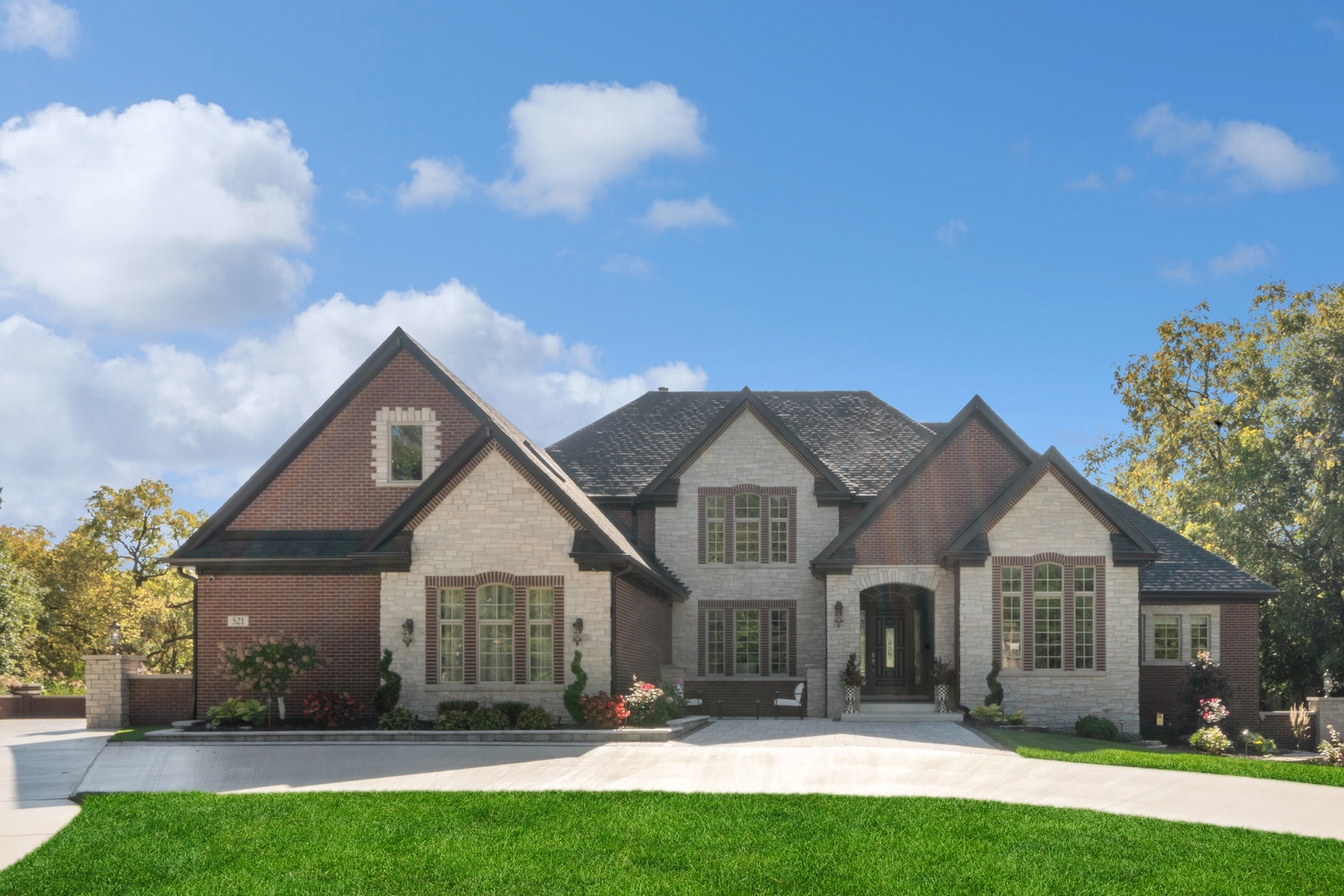 521 Chatfield Road New Lenox, IL 60451 - Photo 2 of 78 Gallery Image 2