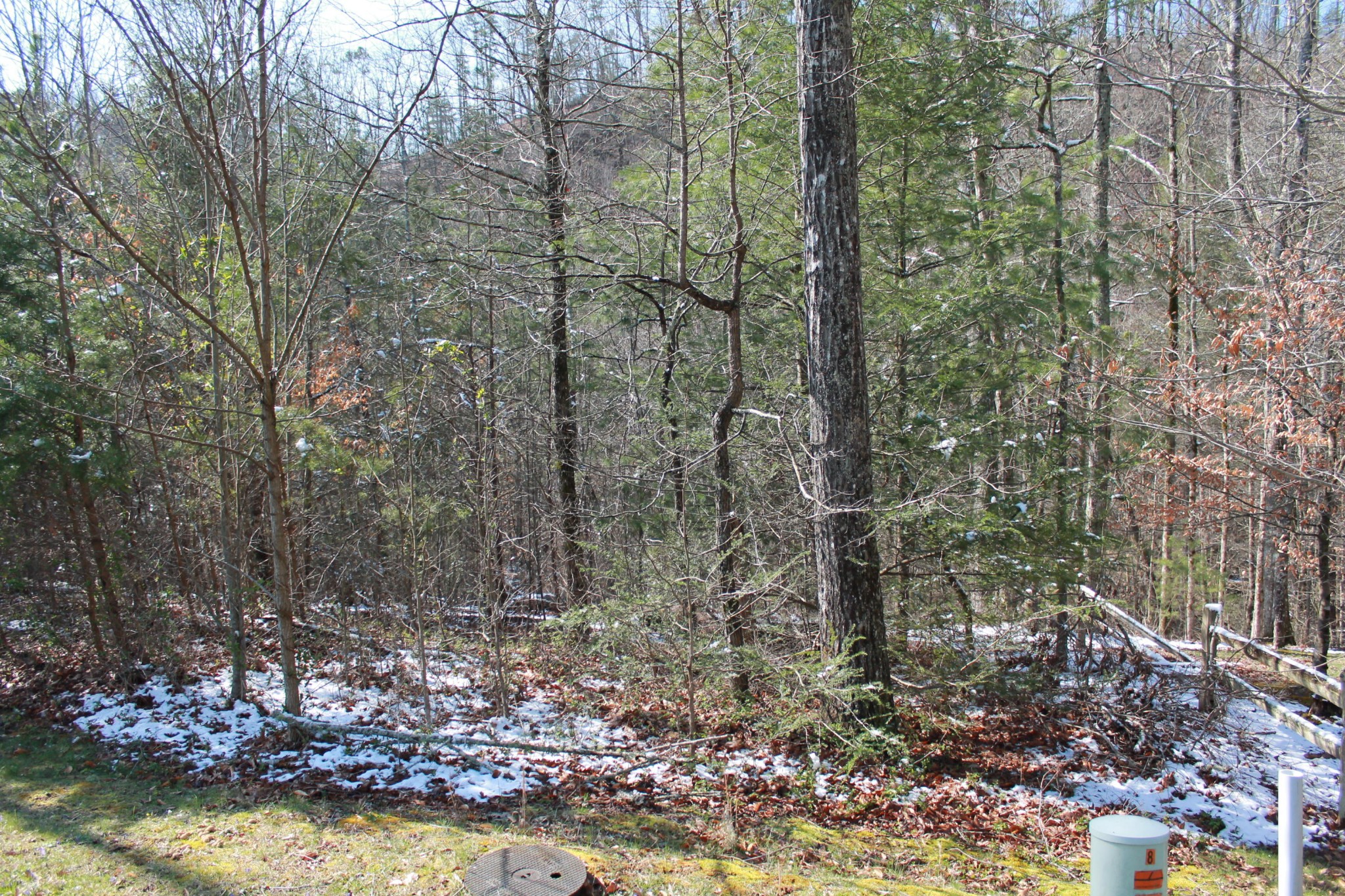 89 Smoky Cove Road Sevierville, TN 37876 - Photo 4 of 9 Gallery Image 4