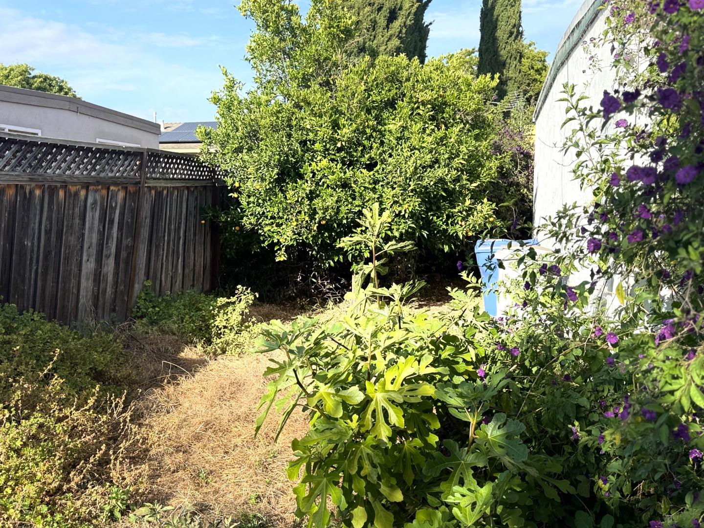 42348 Blacow Road Fremont, CA 94538 - Photo 8 of 8