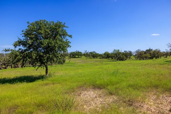 a view of a lake with a yard