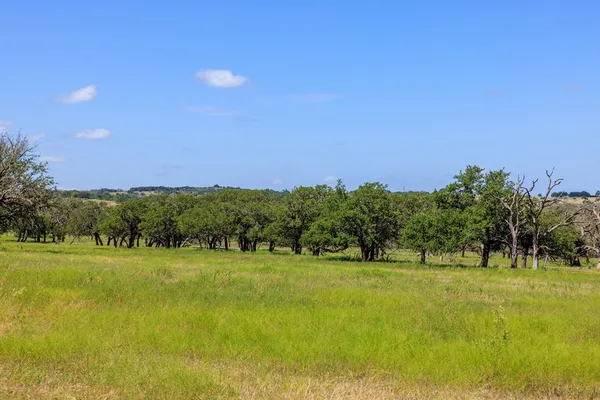 a view of a field with trees in the background