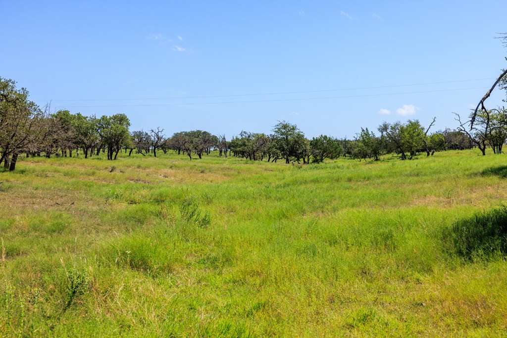 2250 Otte Road Stonewall, TX 78671 - Photo 31 of 35 a view of an outdoor space and a yard