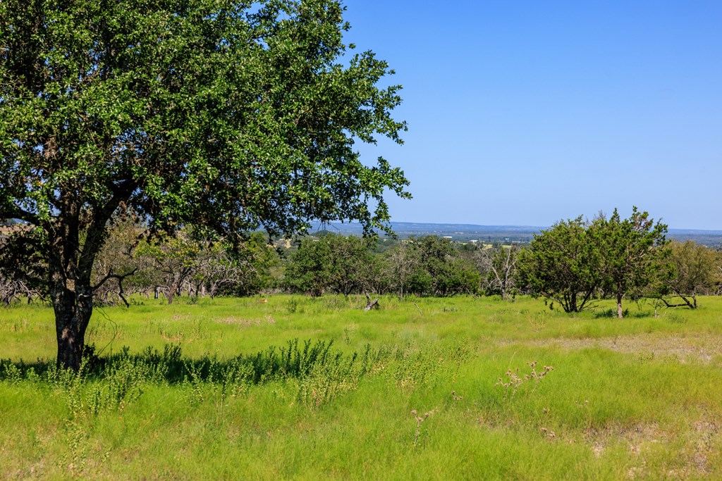 2250 Otte Road Stonewall, TX 78671 - Photo 32 of 35 a view of a garden with a tree
