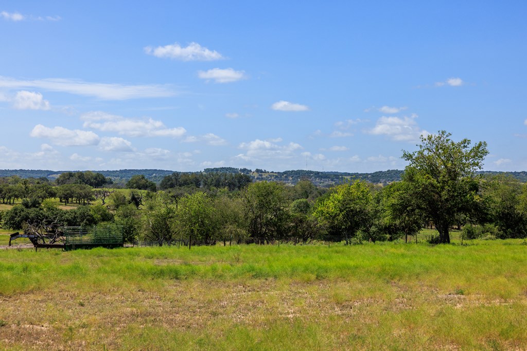 2250 Otte Road Stonewall, TX 78671 - Photo 34 of 35 a view of a garden with an ocean