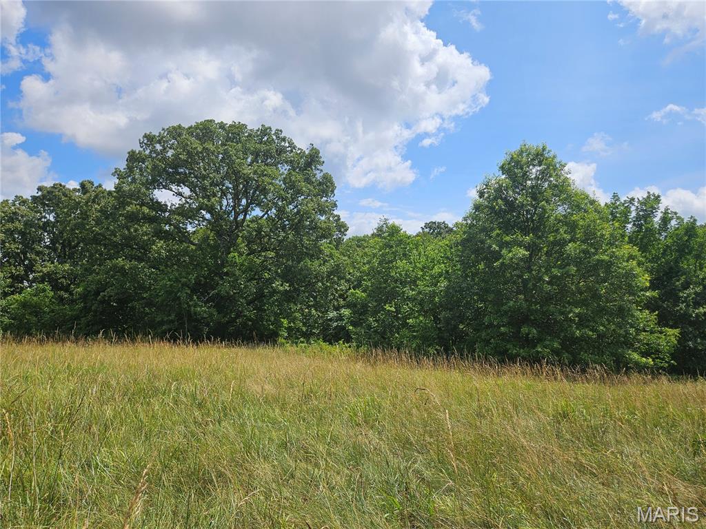0 Misty Road Pinckneyville, IL 62274 - Photo 6 of 25