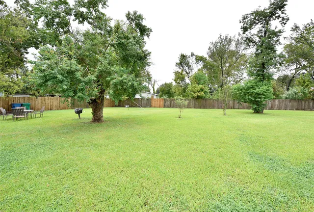 a view of a tree in a park