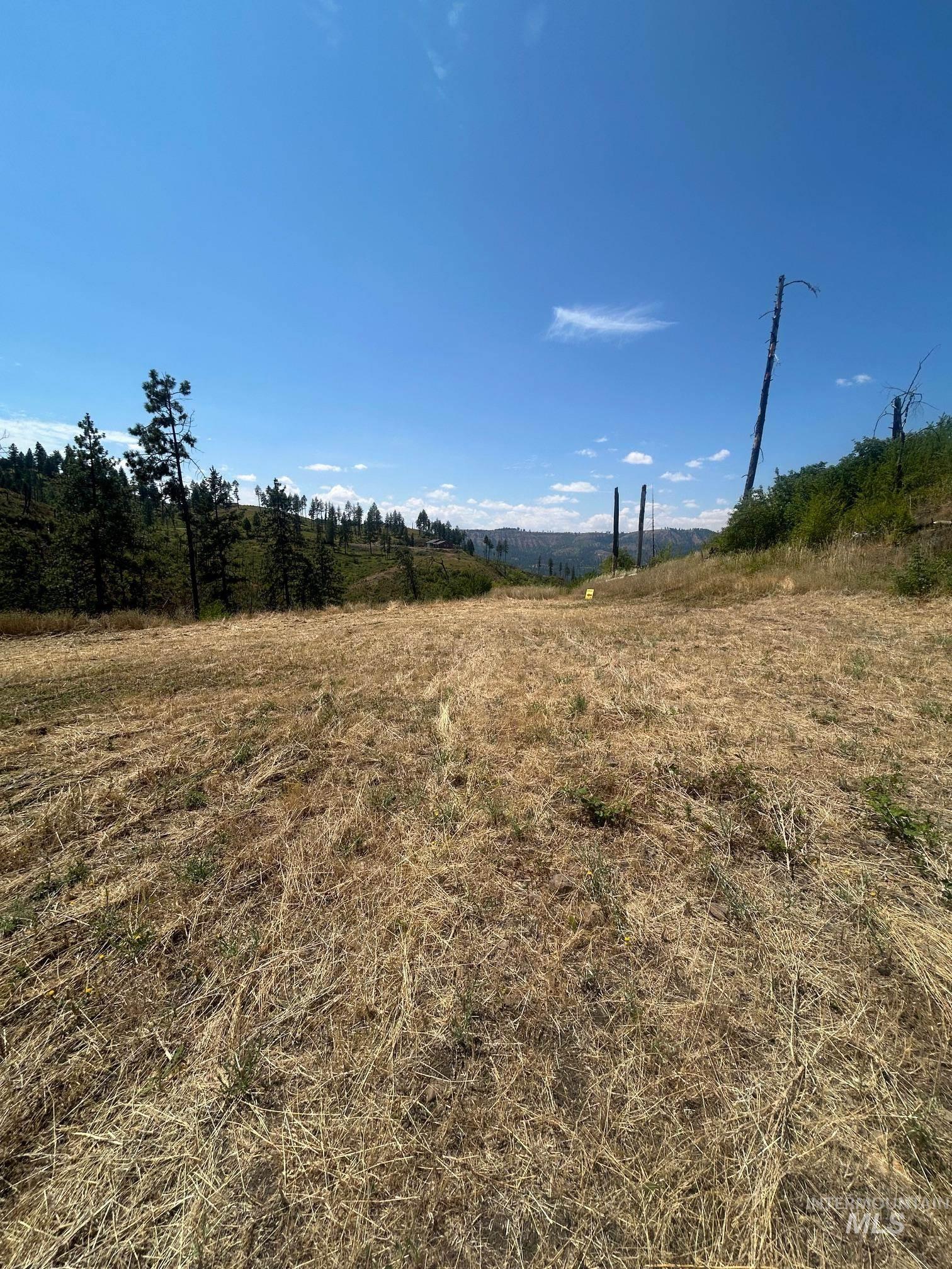 355 Glenwood Road Kamiah, ID 83536 - Photo 5 of 12