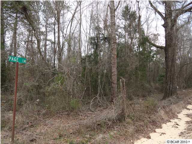 0 Lovewood Road Marianna, FL 32446 - Photo 1 of 6