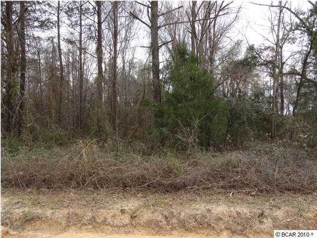 0 Lovewood Road Marianna, FL 32446 - Photo 5 of 6