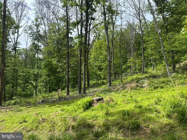 a view of outdoor space and green space