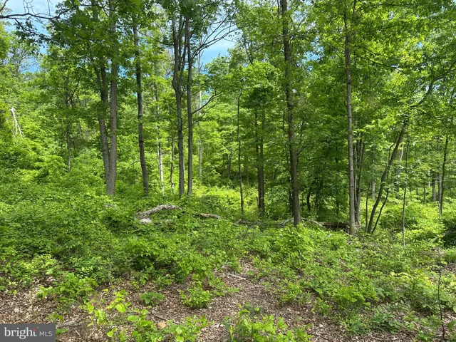 a view of outdoor space and green space