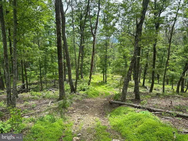 a view of outdoor space and green space