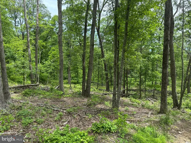 a view of outdoor space and green space