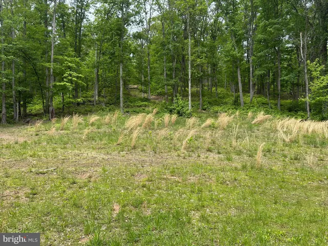 a view of backyard with green space