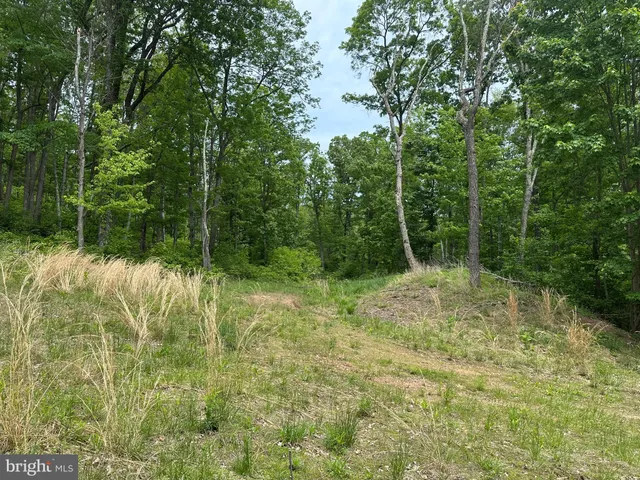 a view of outdoor space with green field and trees