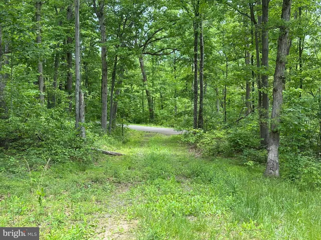 a view of outdoor space and green space