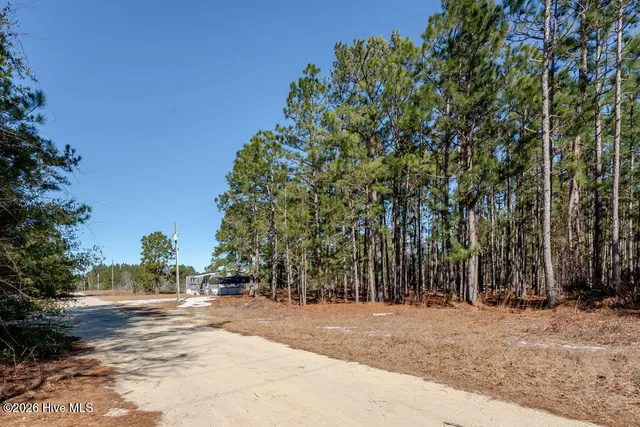 $119,900 | 52 Paul Cromartie Lane, Ivanhoe, NC 28447