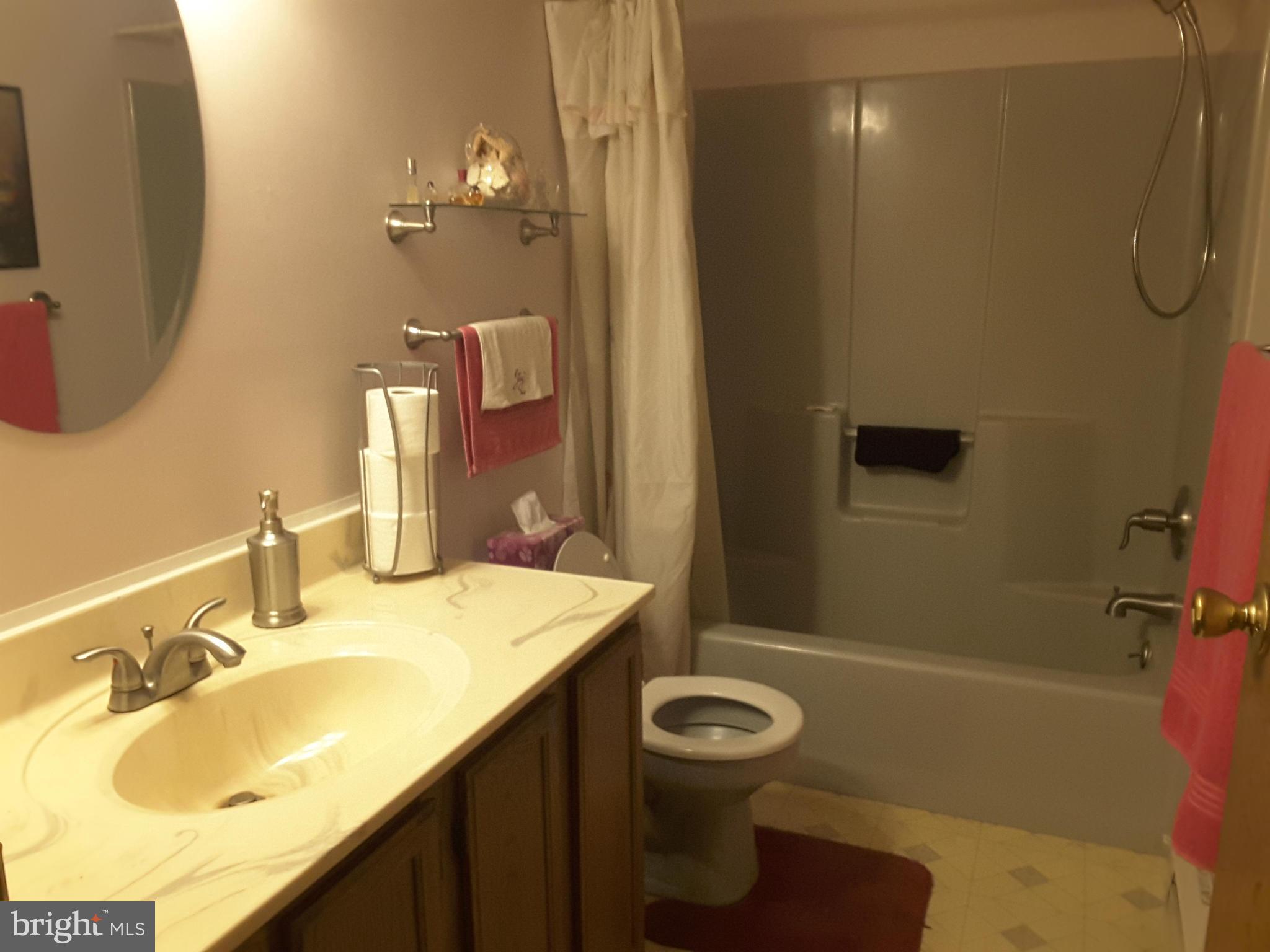 226 Craigtown Road Port Deposit, MD 21904 - Photo 12 of 22 Bath