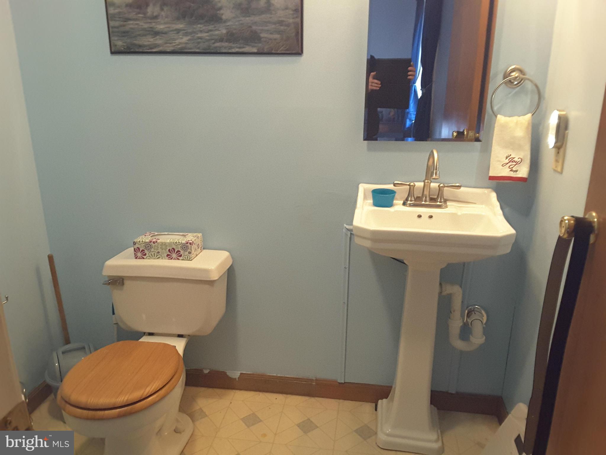 226 Craigtown Road Port Deposit, MD 21904 - Photo 8 of 22 Bath (Master)