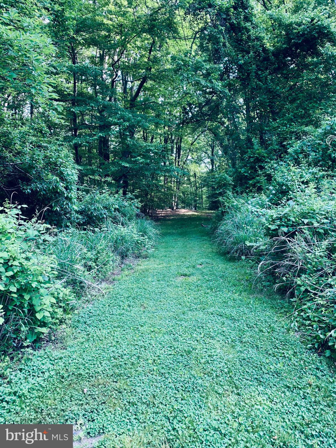 372 Forest Beach Road Annapolis, MD 21409 - Photo 46 of 49 Path to the private water access.