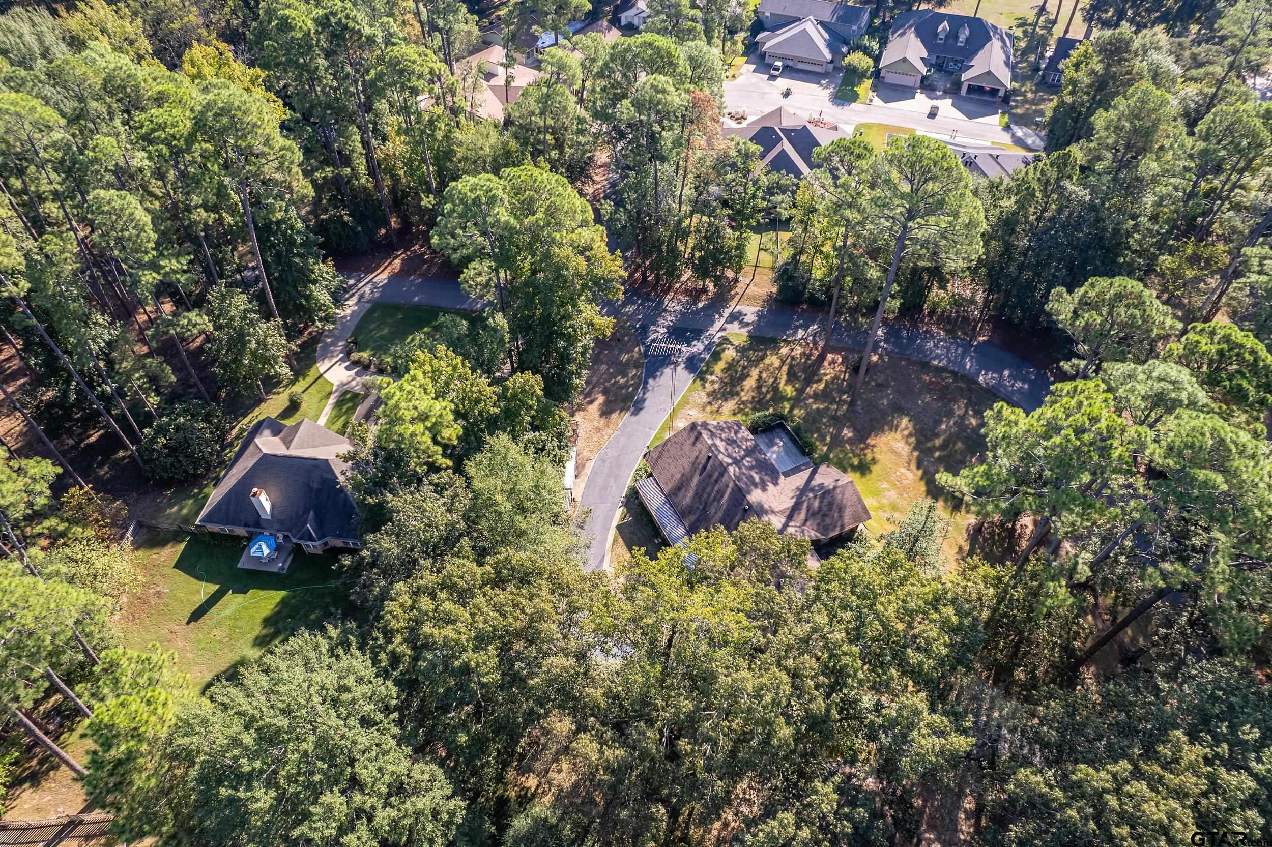 331 Bent Horseshoe Lane Holly Lake Ranch, TX 75765 - Photo 5 of 44 a view of grapes plant