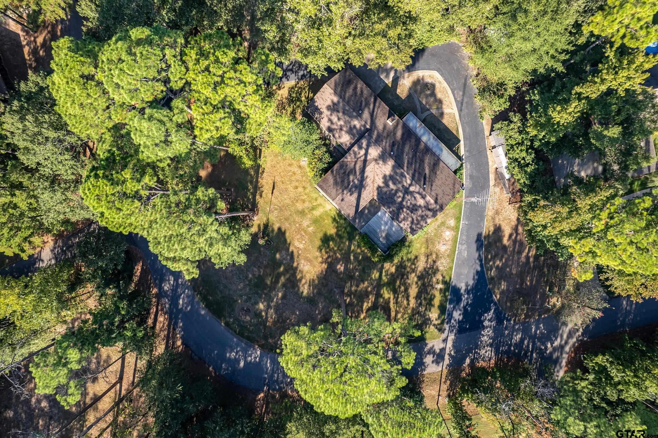 331 Bent Horseshoe Lane Holly Lake Ranch, TX 75765 - Photo 10 of 44 a view of a plant in a garden