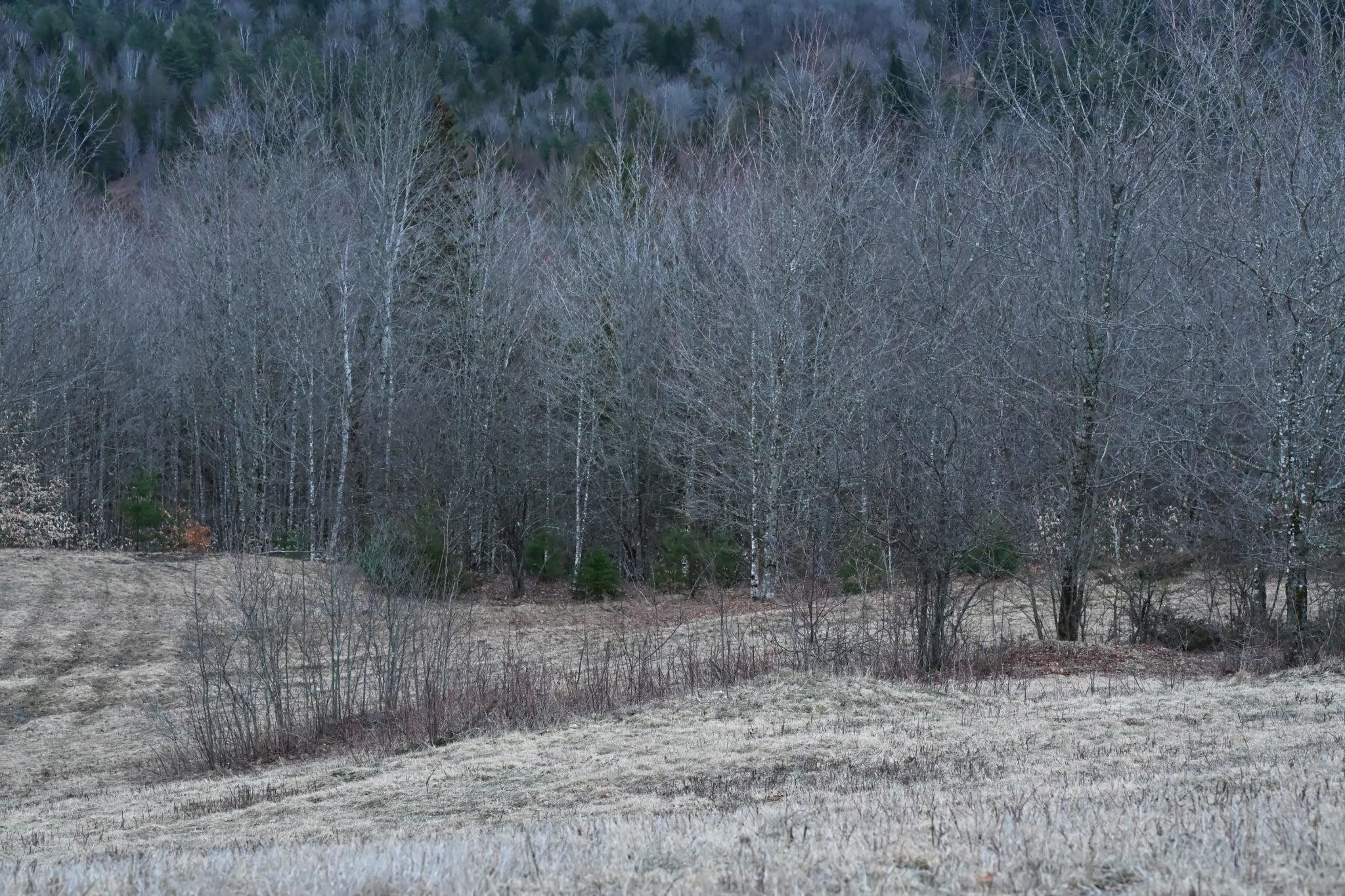 0 Downing Road Topsham, VT 05076 - Photo 3 of 4