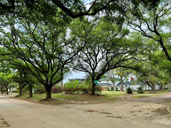 a view of a tree in front of a brick house