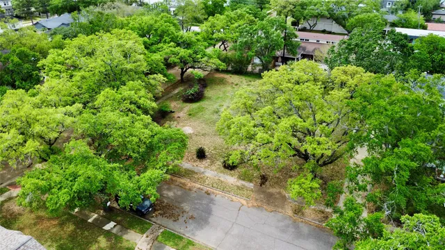 a view of a garden with plants