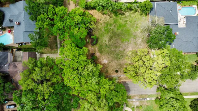 a view of a yard with plants and a tree