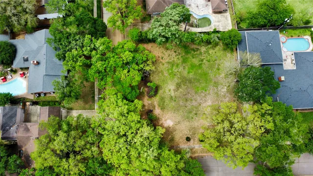 a view of a yard with plants and trees