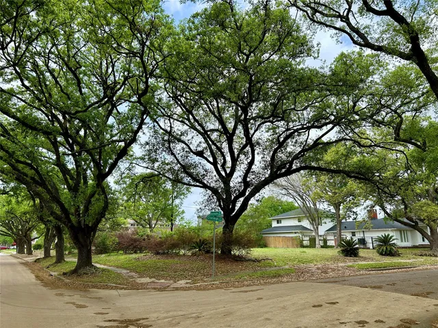 a view of a yard with plants and trees