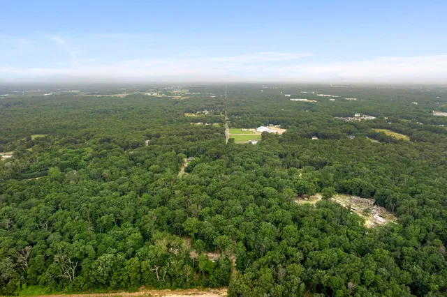 an aerial view of residential houses with outdoor space and trees