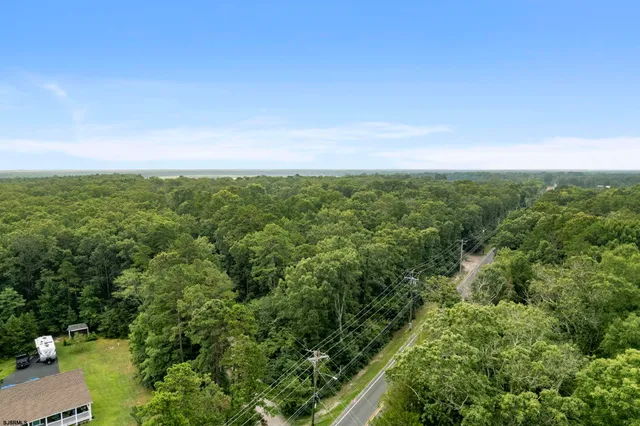 an aerial view of residential houses with outdoor space and trees