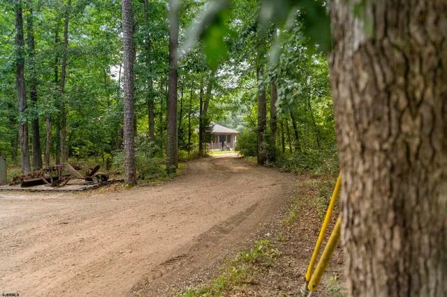 a view of a pathway with a yard