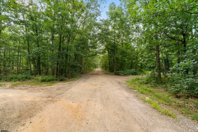 a view of a field with trees in the background