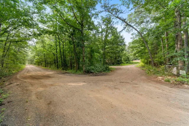 a view of a dirt road with trees in the background
