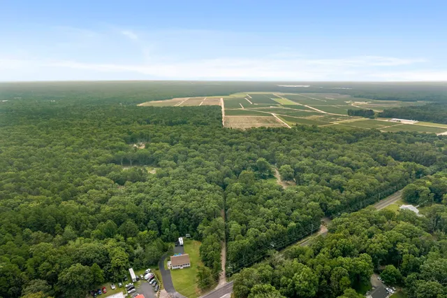 an aerial view of residential houses with outdoor space and trees