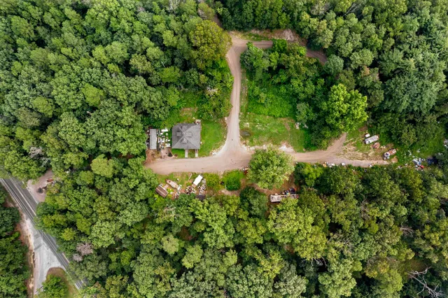 a view of a garden with plants