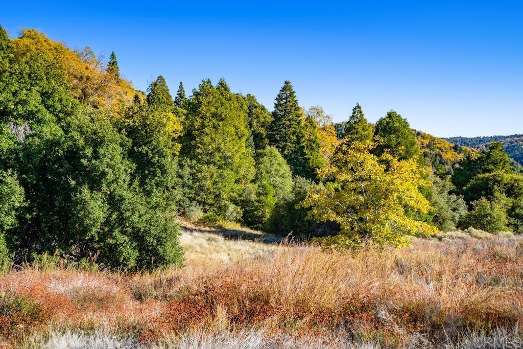 0 State Park Road Palomar Mountain, CA 92060 - Photo 11 of 33 a view of a yard with a tree