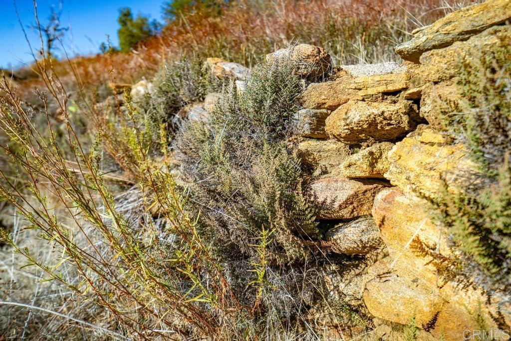 0 State Park Road Palomar Mountain, CA 92060 - Photo 14 of 33 a view of a yard