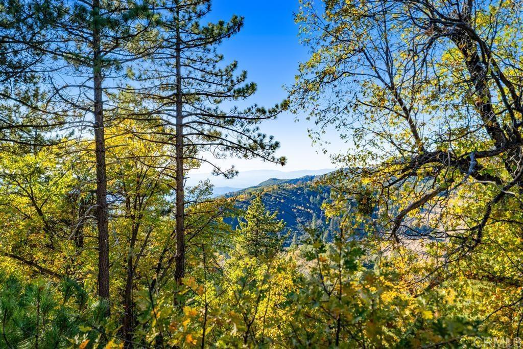 0 State Park Road Palomar Mountain, CA 92060 - Photo 16 of 33 a view of outdoor space with a tree