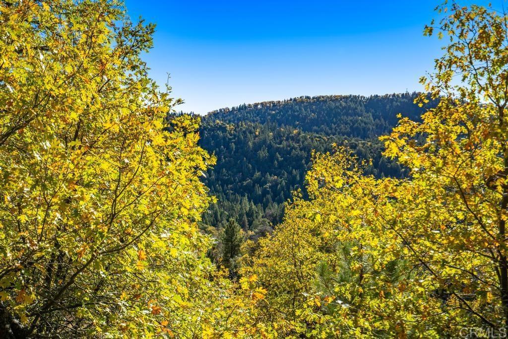 0 State Park Road Palomar Mountain, CA 92060 - Photo 18 of 33 a view of a bunch of flowers and trees